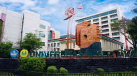 dok. mediaindonesia.com