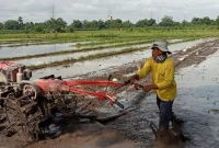 dok.jogja.antaranews.com