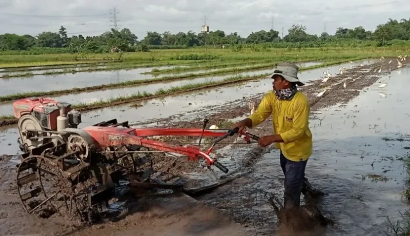 dok.jogja.antaranews.com
